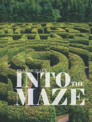 cover image of Into the Maze